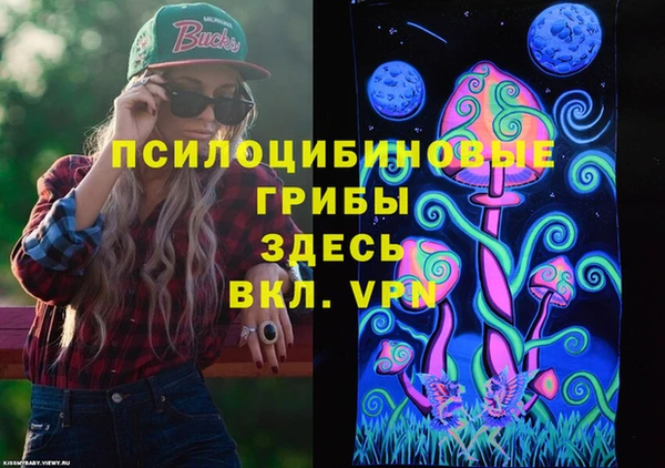 гашик Медвежьегорск