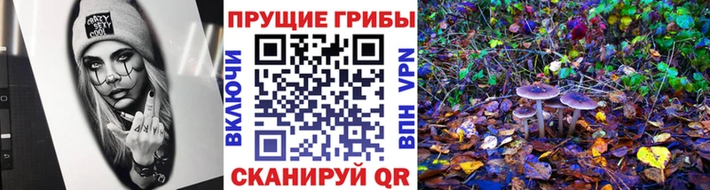 закладки  Альметьевск  Псилоцибиновые грибы мухоморы 