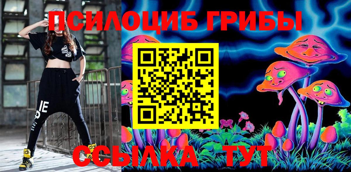 наркота  Вход с VPN  Альметьевск  Галлюциногенные грибы Cubensis 