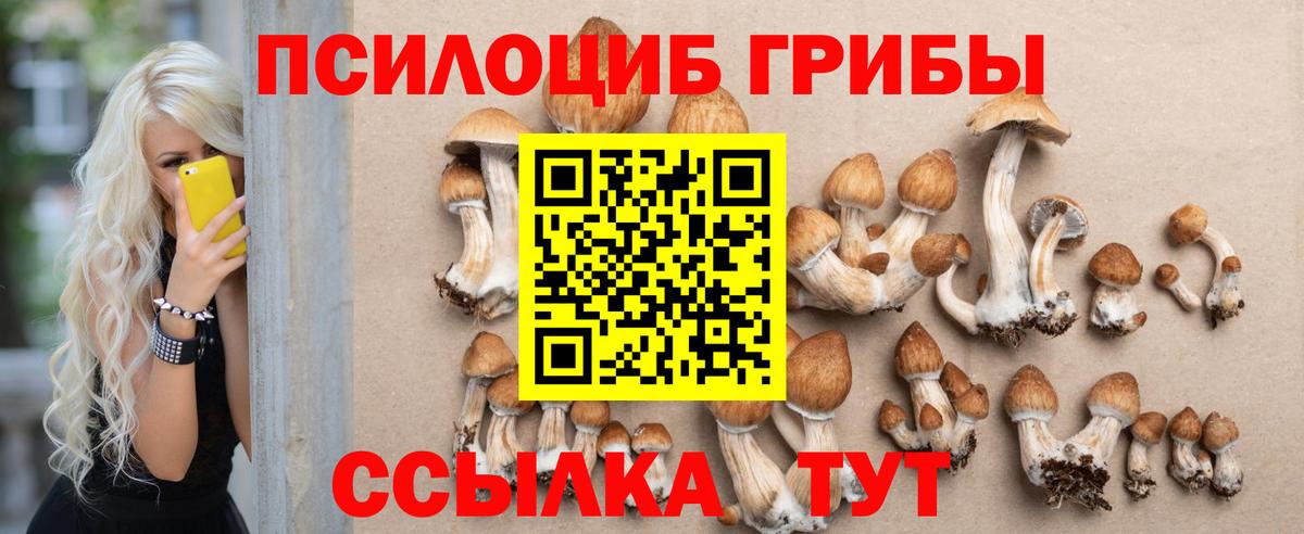 Галлюциногенные грибы мухоморы Альметьевск